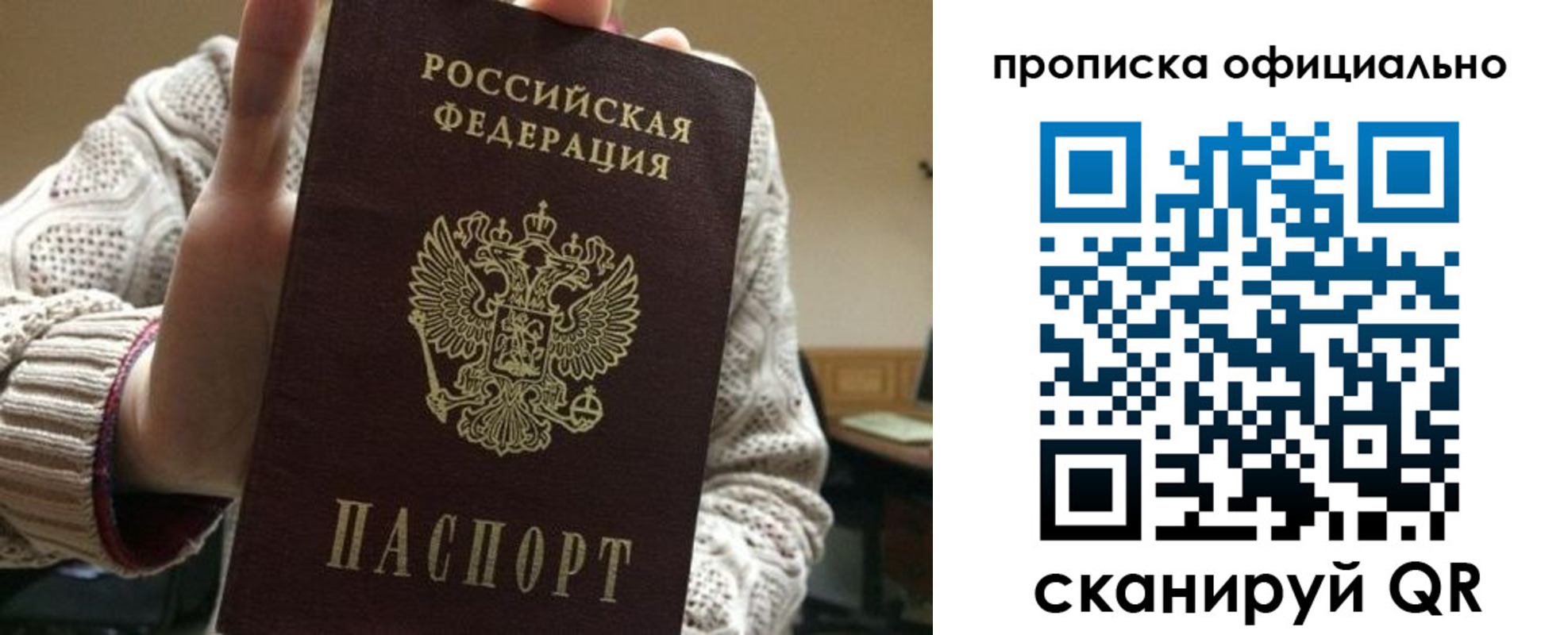 прописка поиск в Светлом